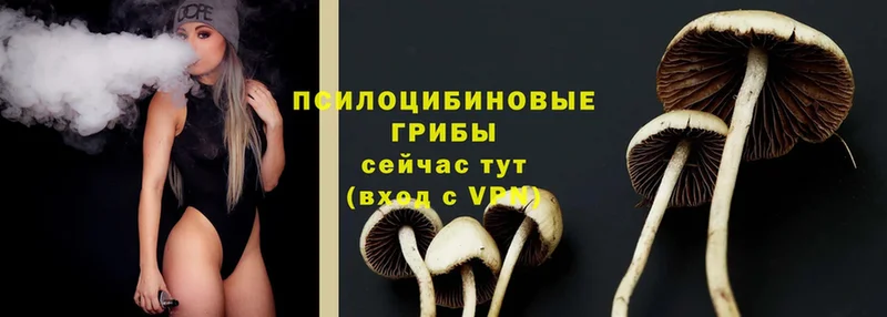 Галлюциногенные грибы MAGIC MUSHROOMS  kraken   Чудово  купить  сайты 